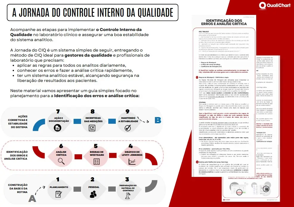 Identificando os Erros e Análise Crítica